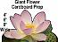 Giant Flower Cardboard Cutout Standup Prop