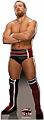 Daniel Bryan - WWE Cardboard Cutout Standup Prop