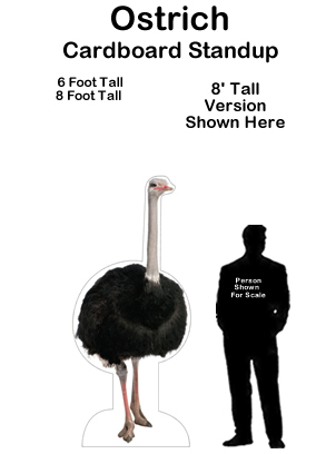 Ostrich Cardboard Cutout Standup Prop