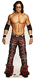 John Morrison - WWE Cardboard Cutout Standup Prop