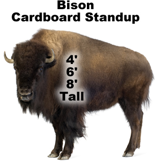 Bison Cardboard Cutout Standup Prop Bison Cardboard Cutout Standup Prop