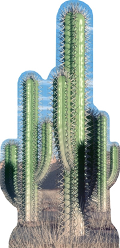 Cactus Group Cardboard Standee