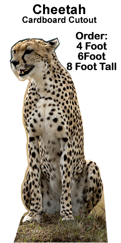 Cheetah Cardboard Cutout Standup Prop