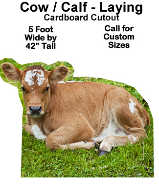 Calf Laying Cardboard Cutout Standup Prop Calf Laying Cardboard Cutout Standup Prop