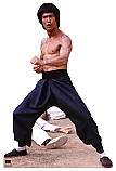 Bruce Lee Fight Stance - Bruce Lee Cardboard Cutout Standup Prop