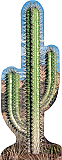 Cactus Cardboard Standee